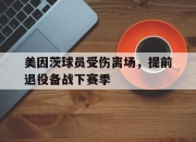 爱游戏ayx官网-关于美因茨球员受伤离场，提前退役备战下赛季的信息