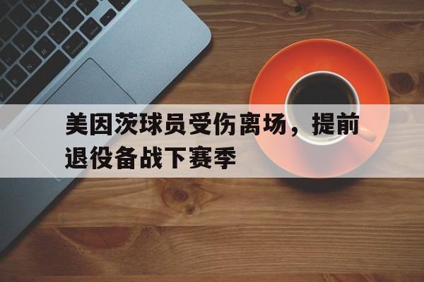 关于美因茨球员受伤离场，提前退役备战下赛季的信息